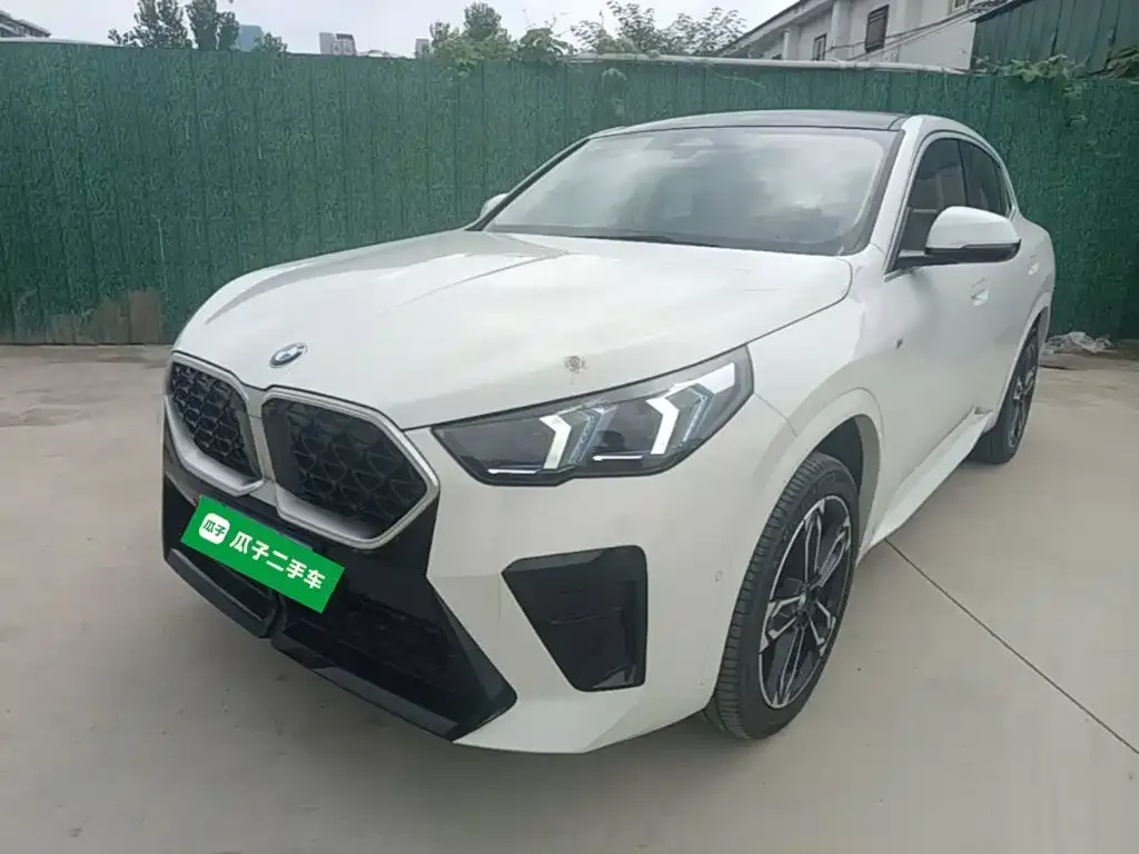 BMW X2 (Import) — фото 1
