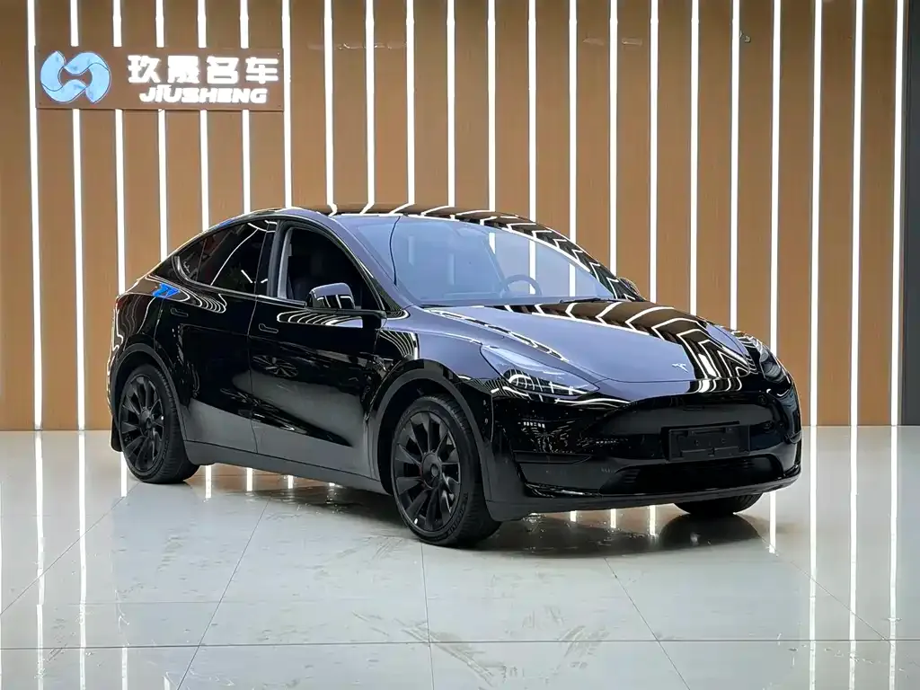 Tesla Model Y — фото 9
