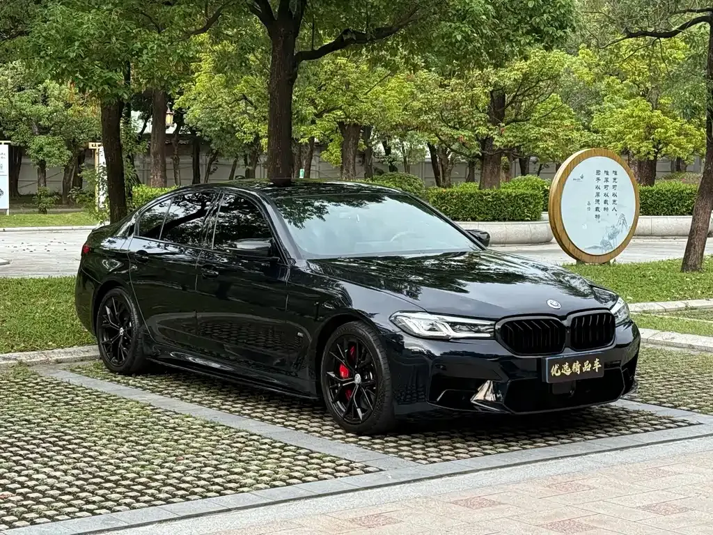 BMW 5 Series (Import) — фото 5