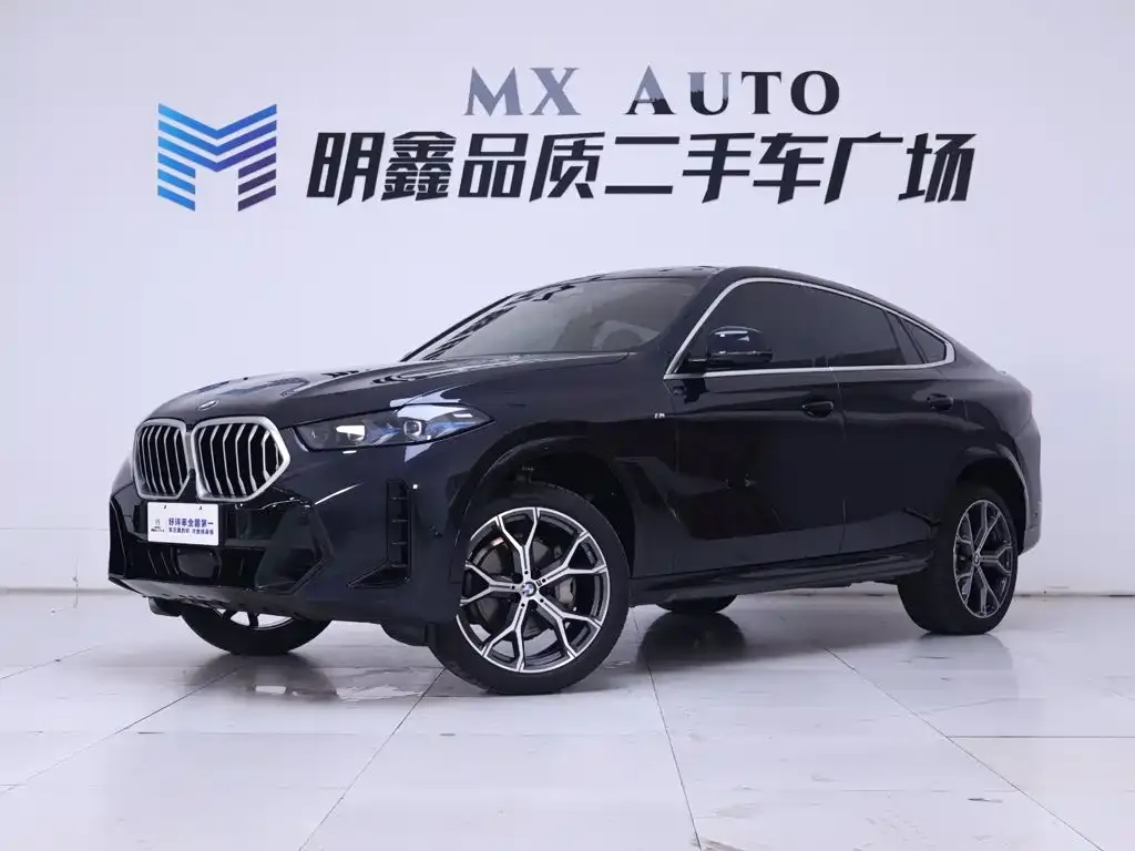 BMW X6 — фото 2