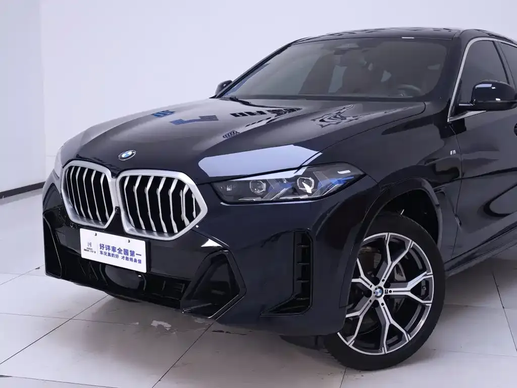 BMW X6 — фото 6