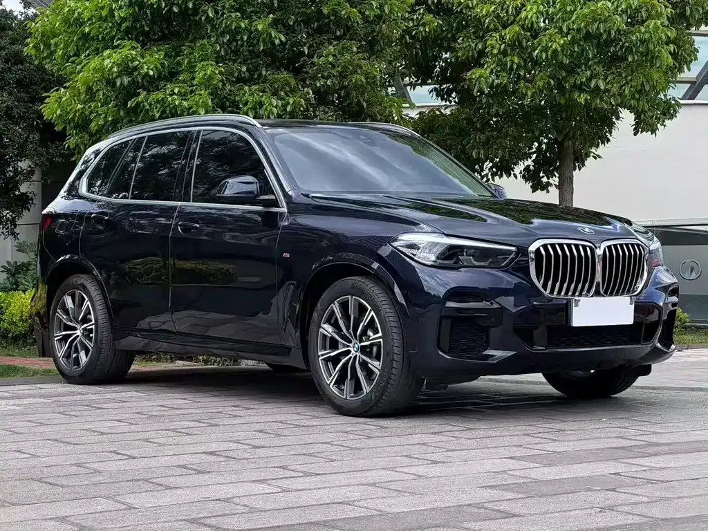 BMW X5 (Import) — фото 4