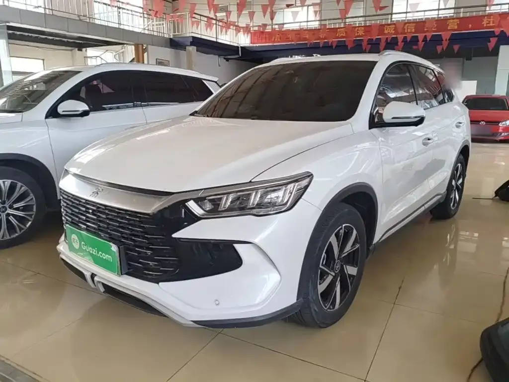 BYD Pro New Energy — фото 1