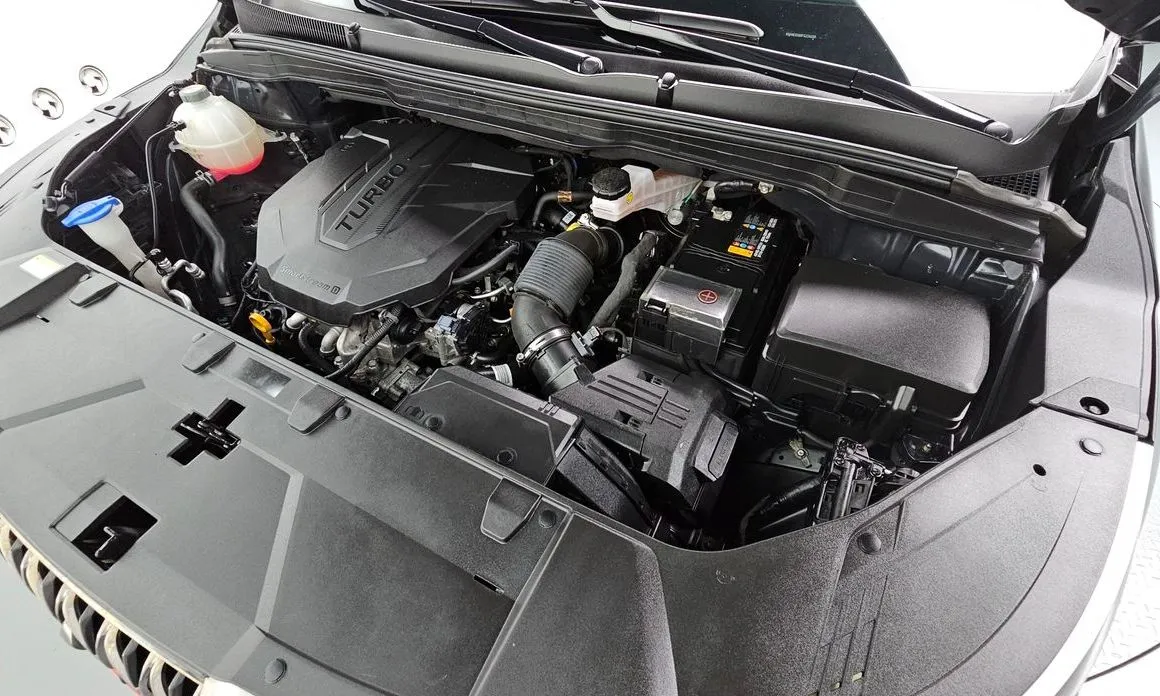 Kia Carnival — фото 10