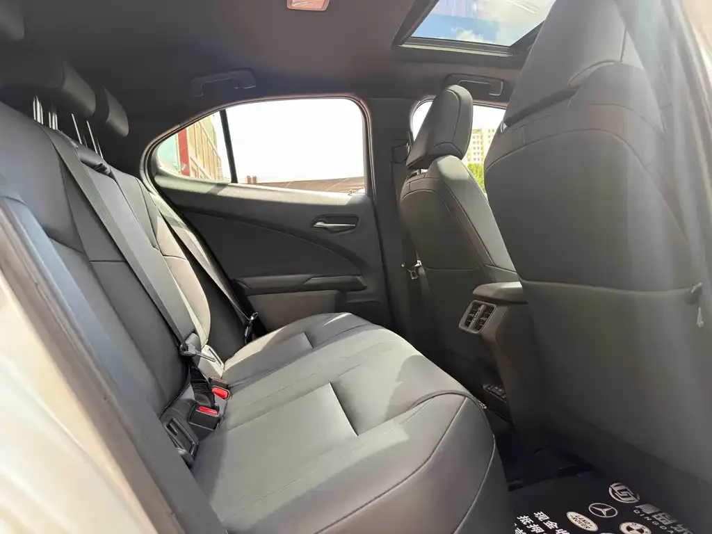 Lexus UX New Energy — фото 8