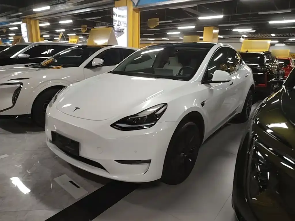 Tesla Model Y — фото 9