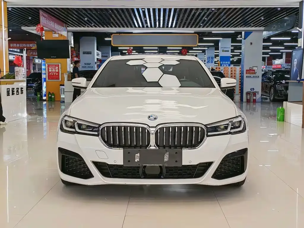 BMW 5 Series New Energy — фото 3