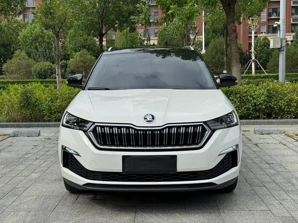 Skoda Kamiq — фото 7