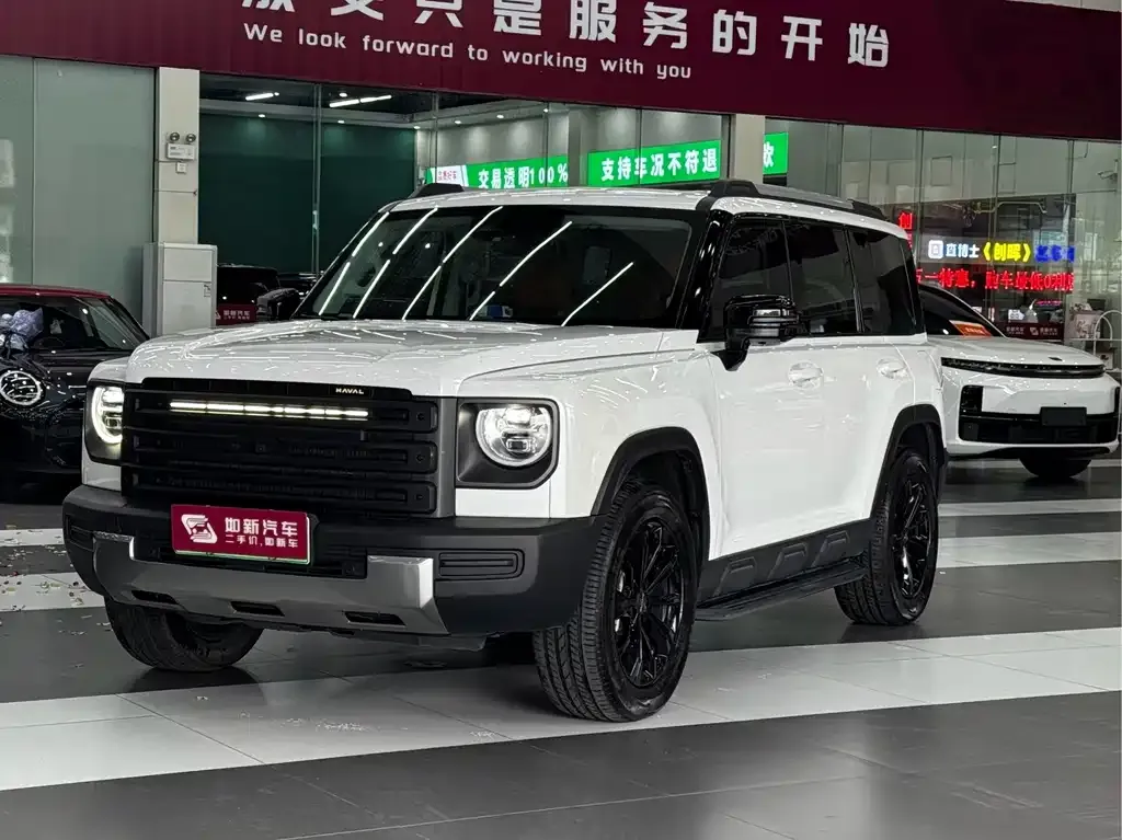 Haval Menglong New Energy — фото 1