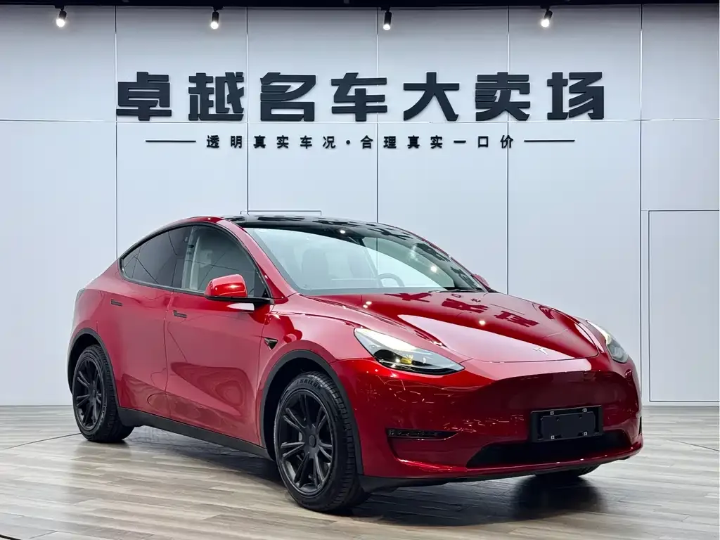 Tesla Model Y — фото 4