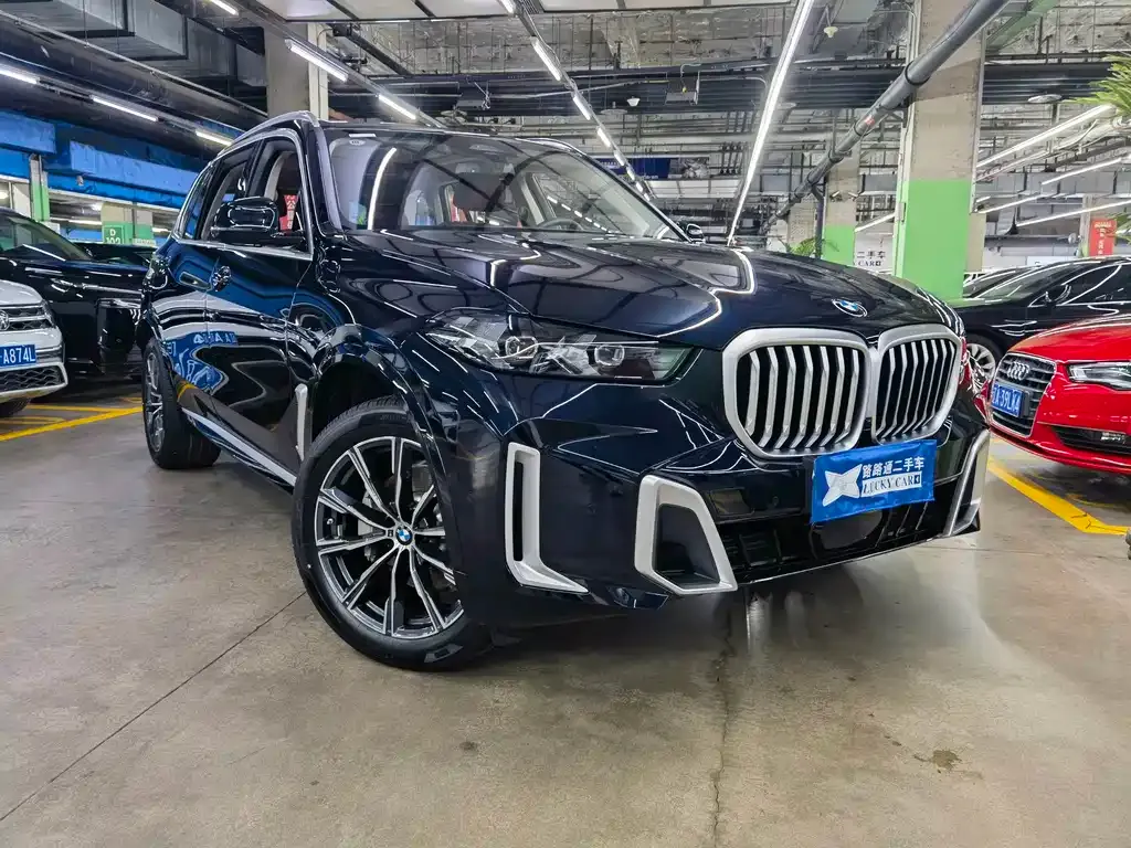 BMW X5 — фото 10
