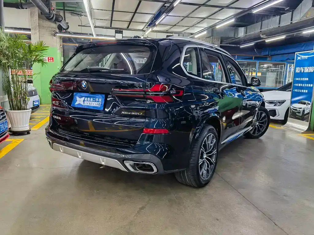 BMW X5 — фото 9