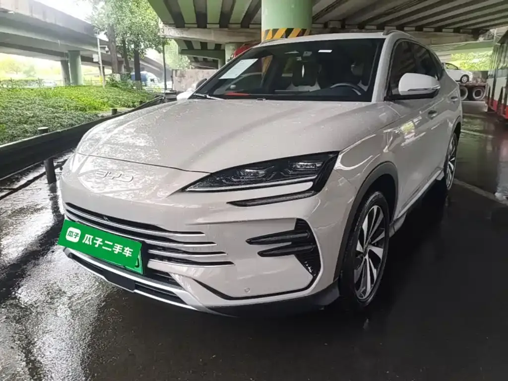 BYD PLUS New Energy — фото 1