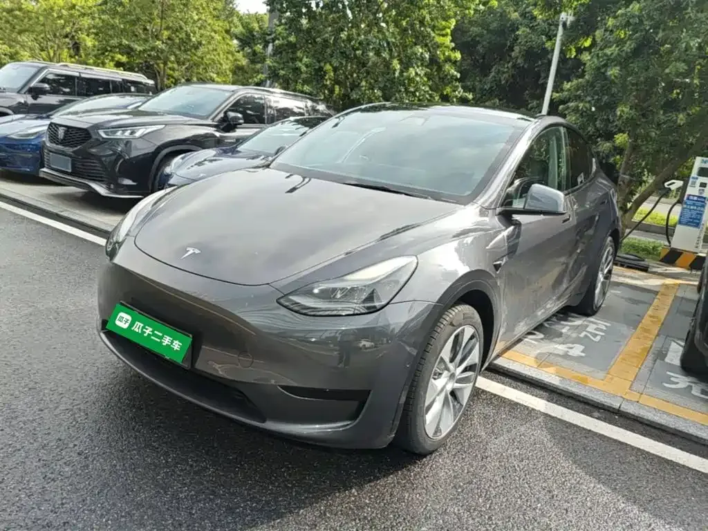 Tesla Model Y — фото 1
