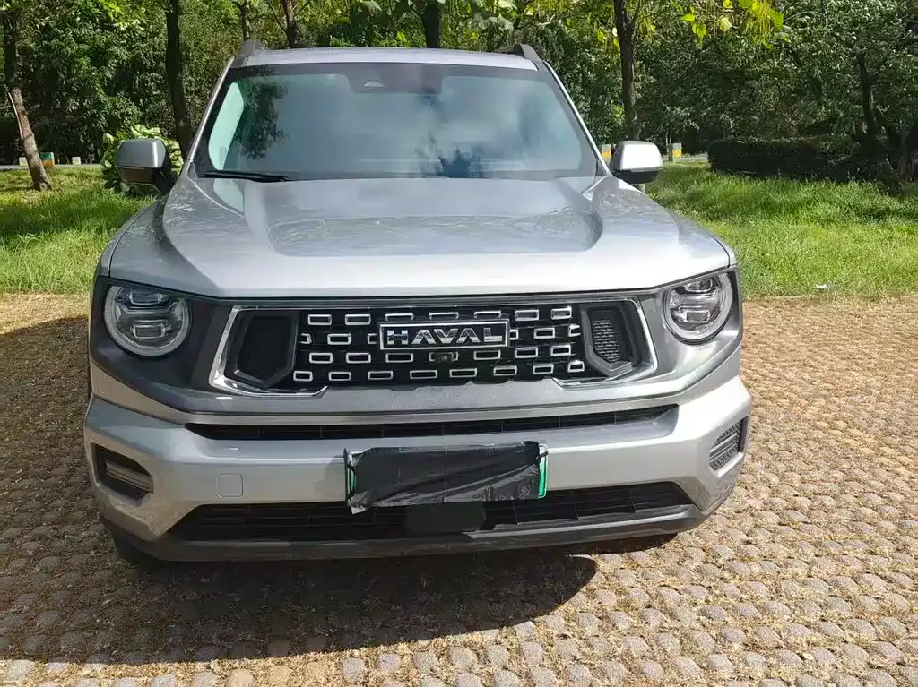 Haval H7 (Big Dog Plus) New Energy — фото 8