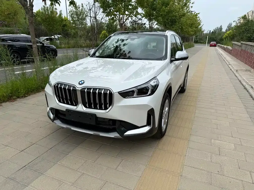 BMW X1 — фото 1