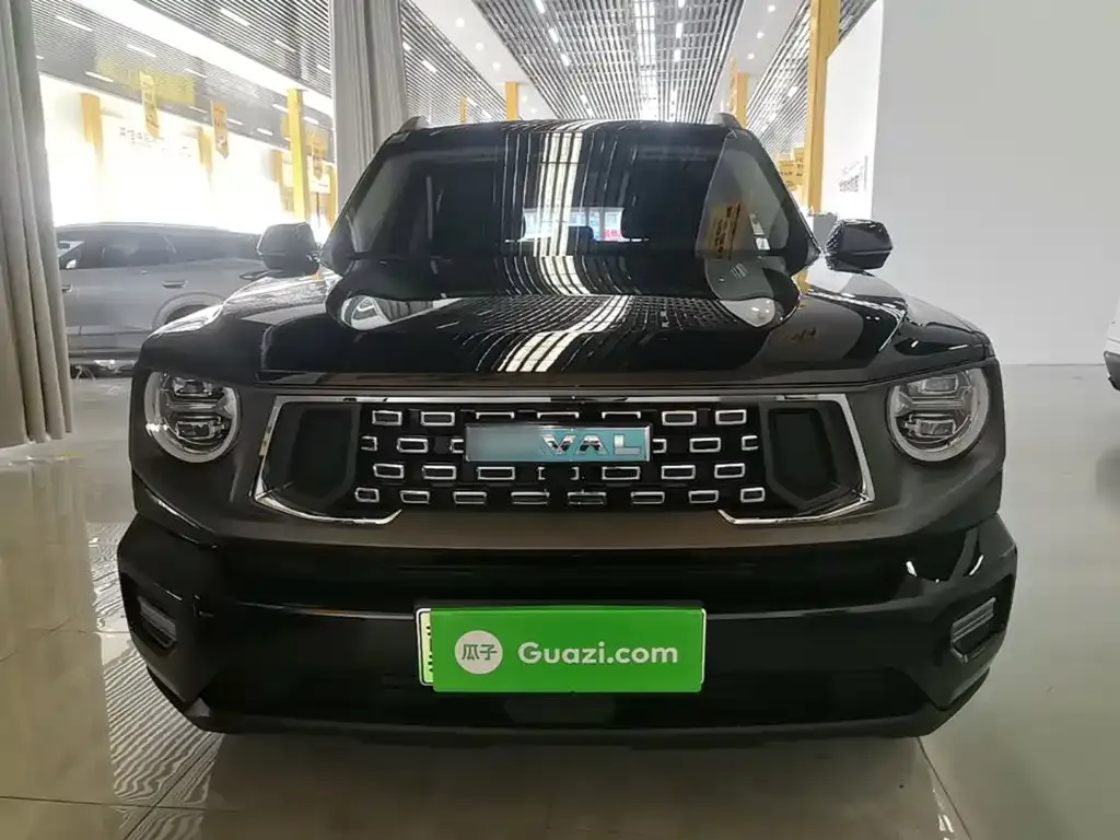 Haval Big Dog PLUS New Energy — фото 6