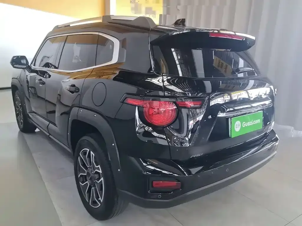Haval Big Dog PLUS New Energy — фото 8