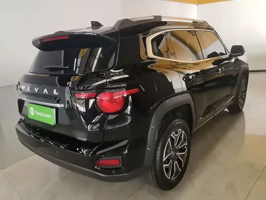 Haval Big Dog PLUS New Energy — фото 10
