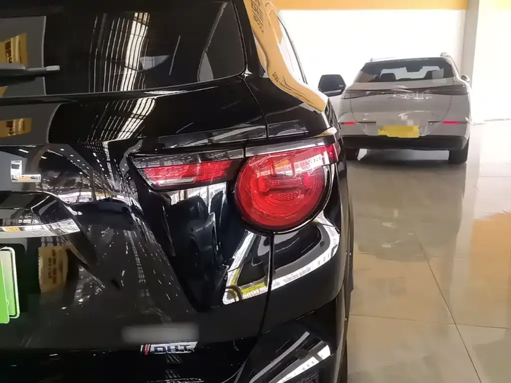 Haval Big Dog PLUS New Energy — фото 7