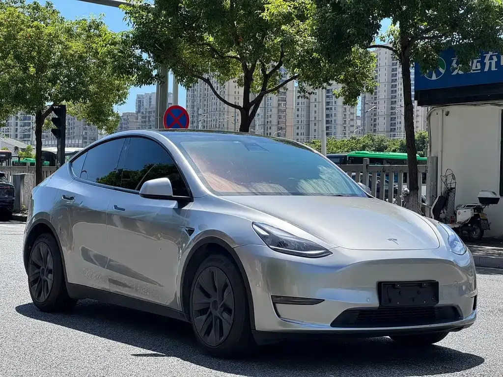 Tesla Model Y — фото 1