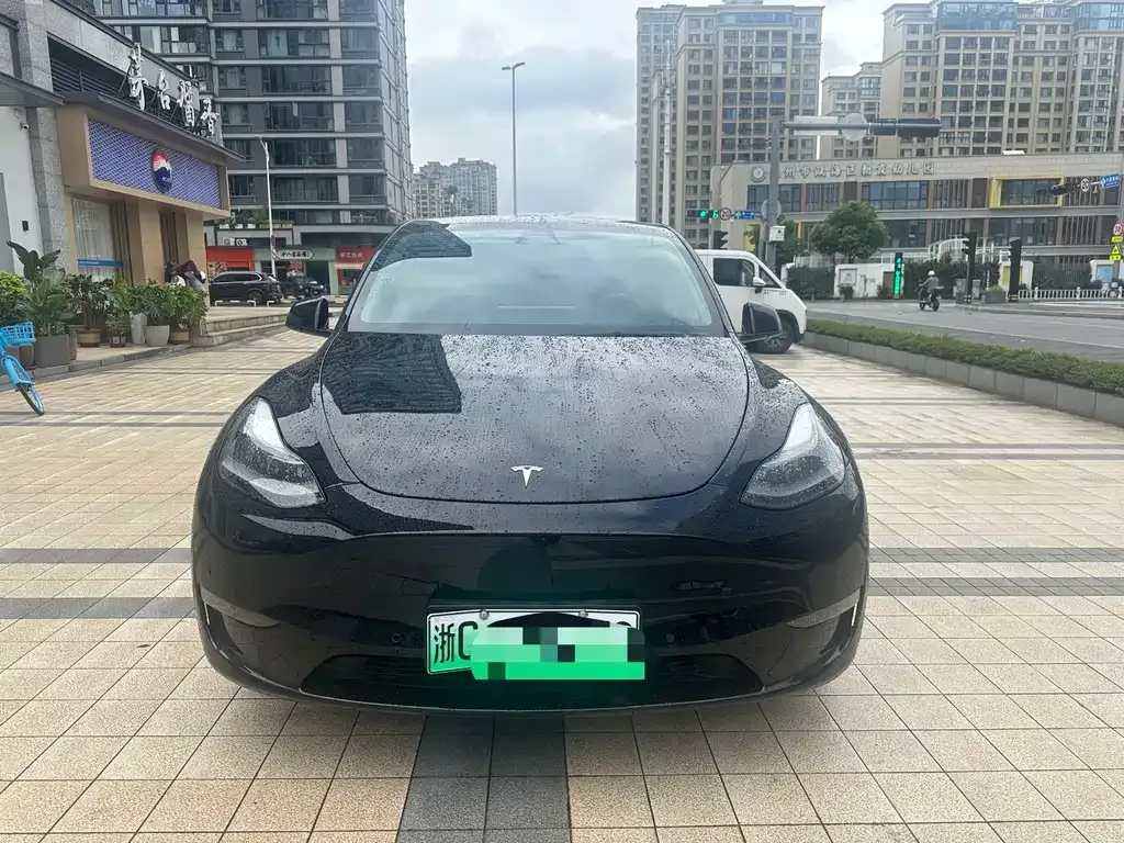 Tesla Model Y — фото 1