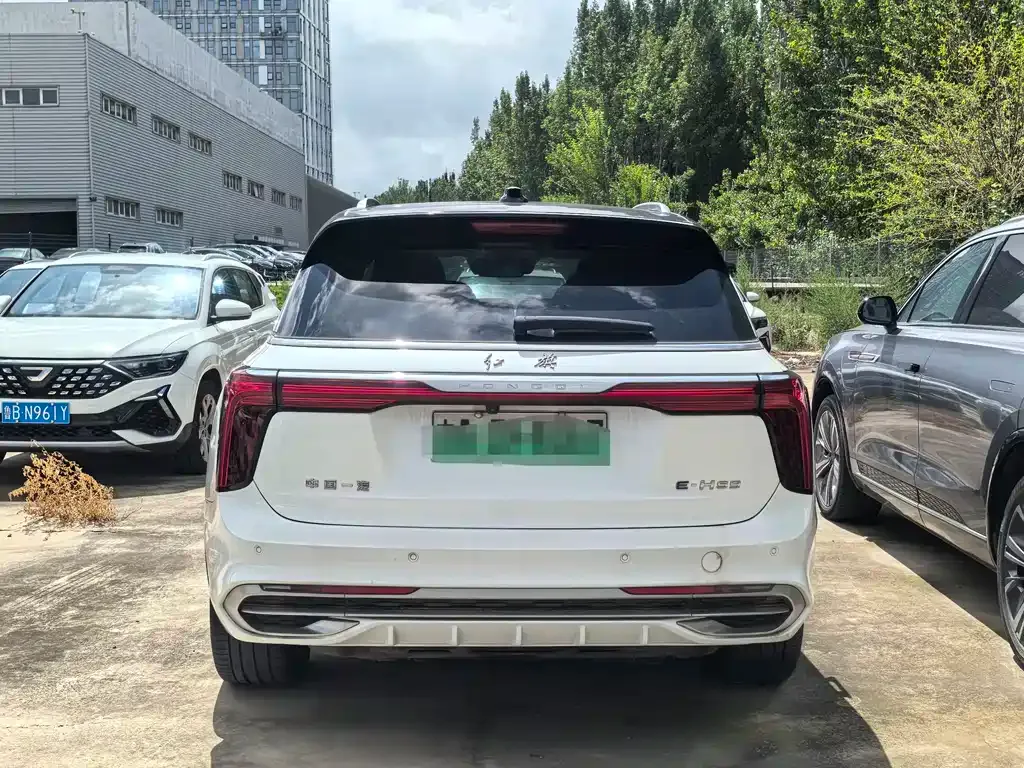 Hongqi E-HS9 — фото 10