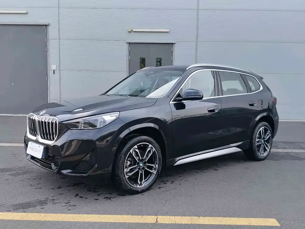 BMW X1 — фото 1
