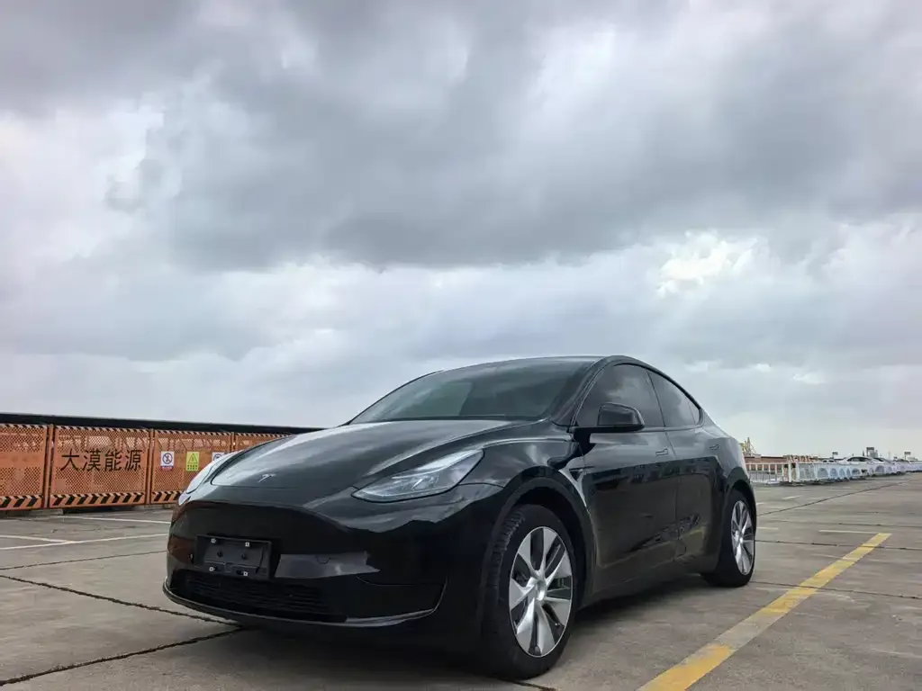 Tesla Model Y — фото 1