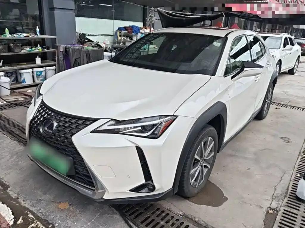 Lexus UX New Energy — фото 1