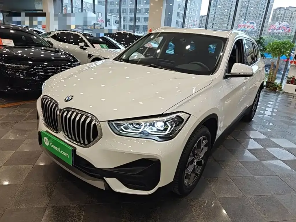 BMW X1 — фото 1