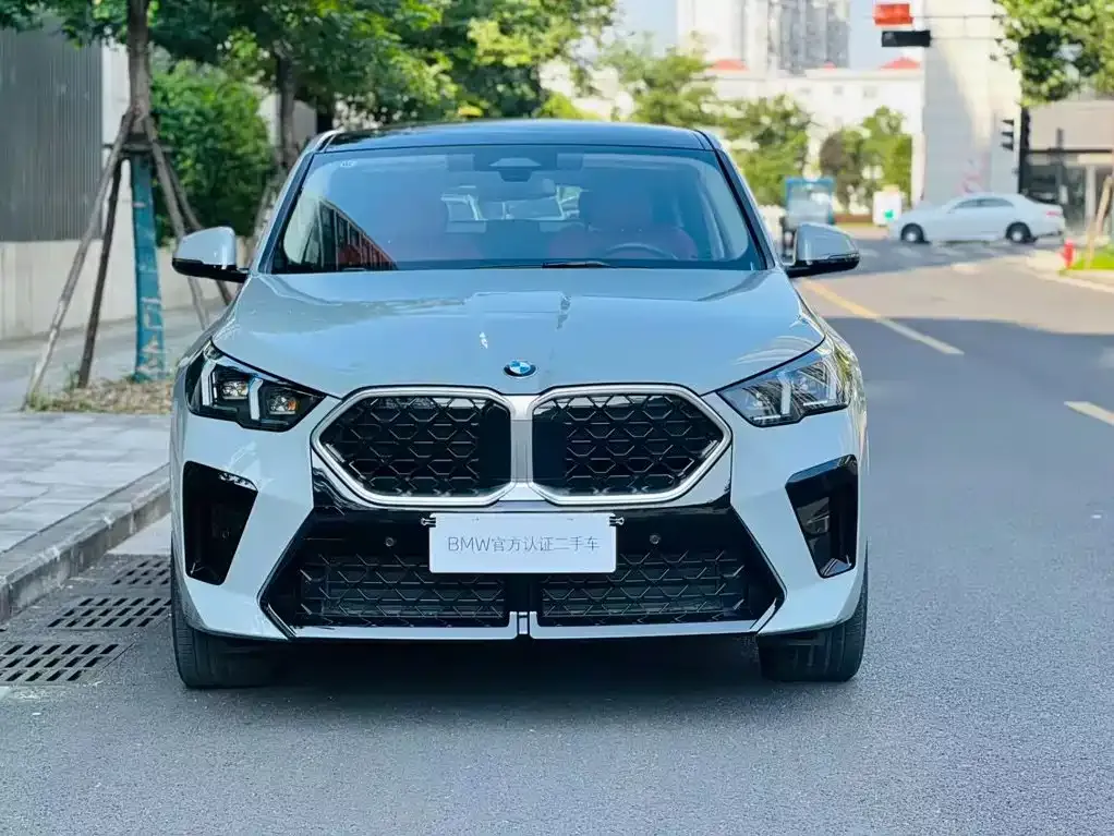 BMW X2 (Import) — фото 4
