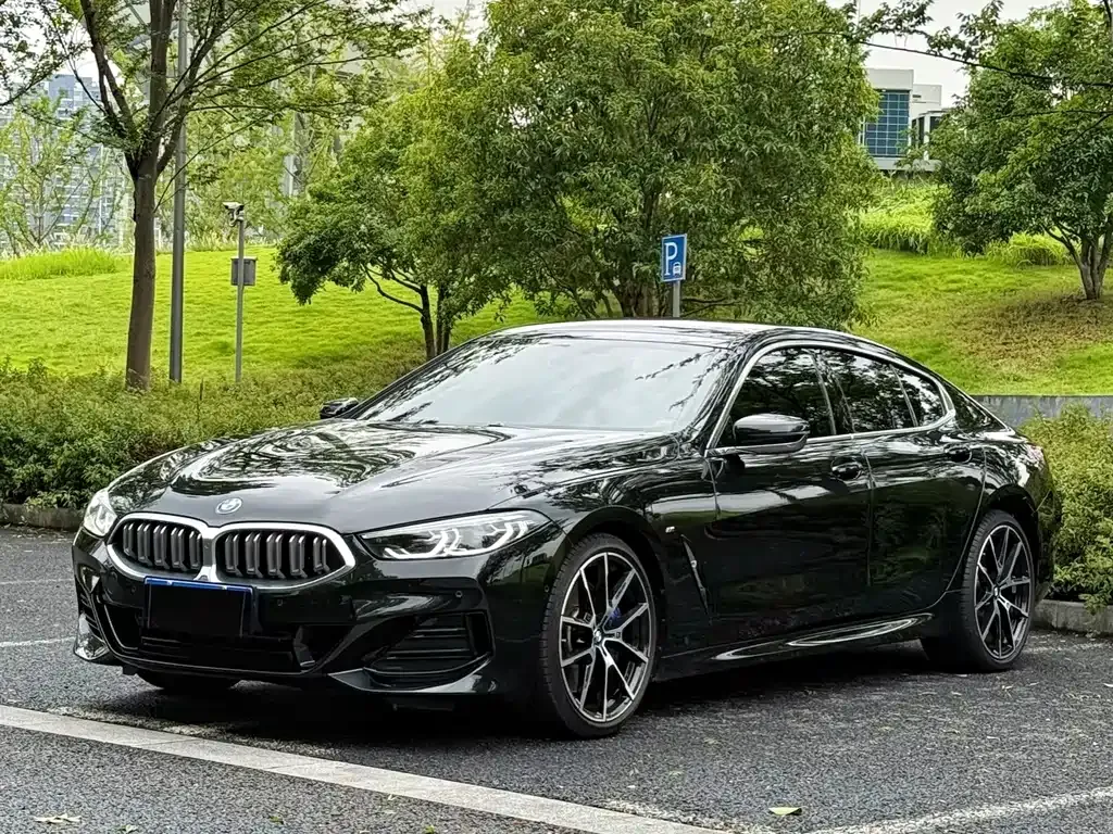 BMW 8 Series — фото 1