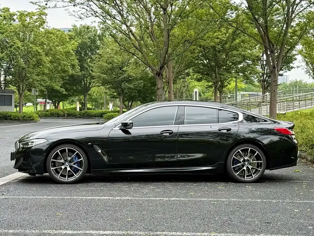 BMW 8 Series — фото 10