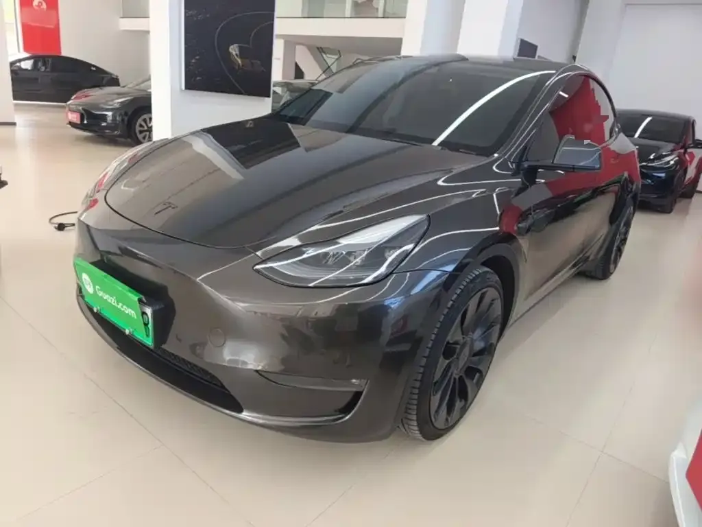 Tesla Model Y — фото 2
