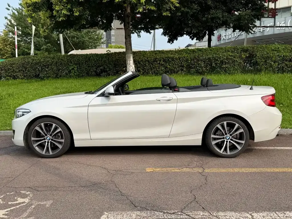 BMW 2 Series (Import) — фото 9