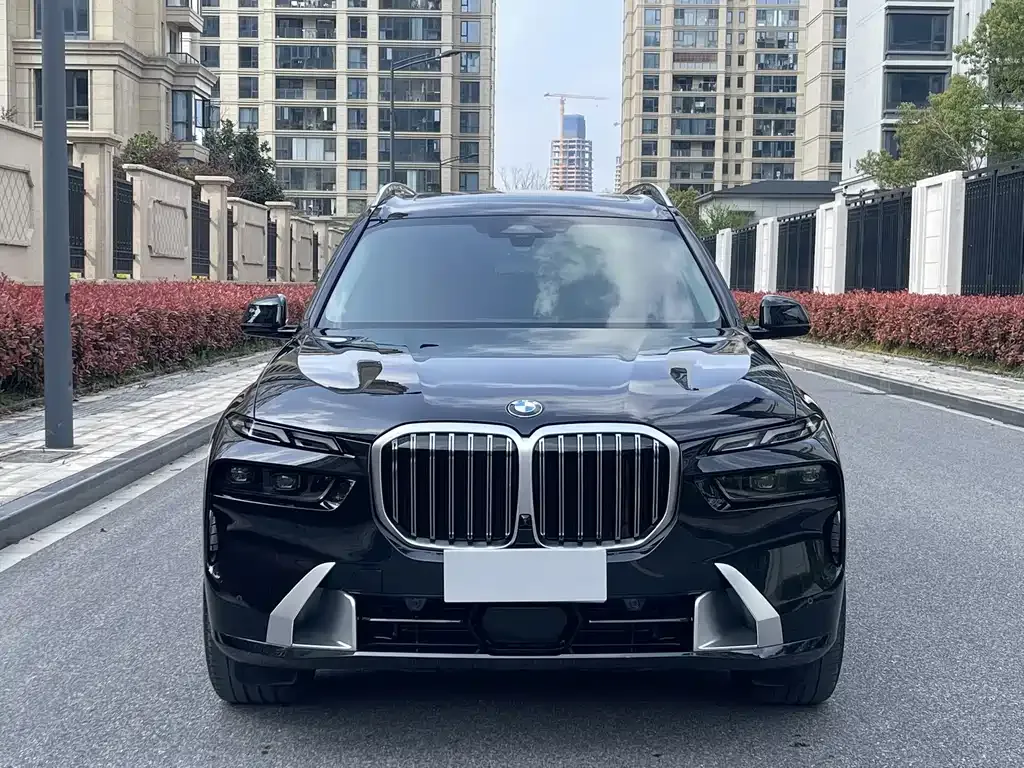 BMW X7 — фото 10