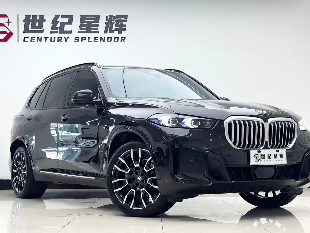 BMW X5 — фото 5