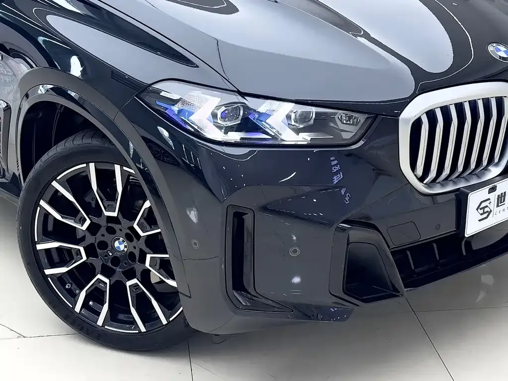 BMW X5 — фото 9