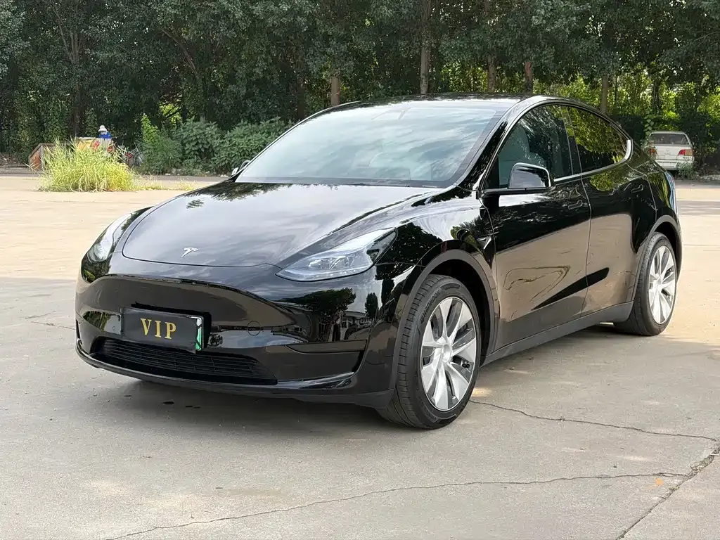 Tesla Model Y — фото 1