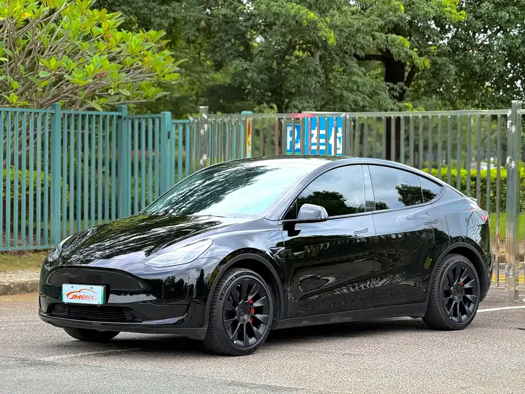 Tesla Model Y — фото 1
