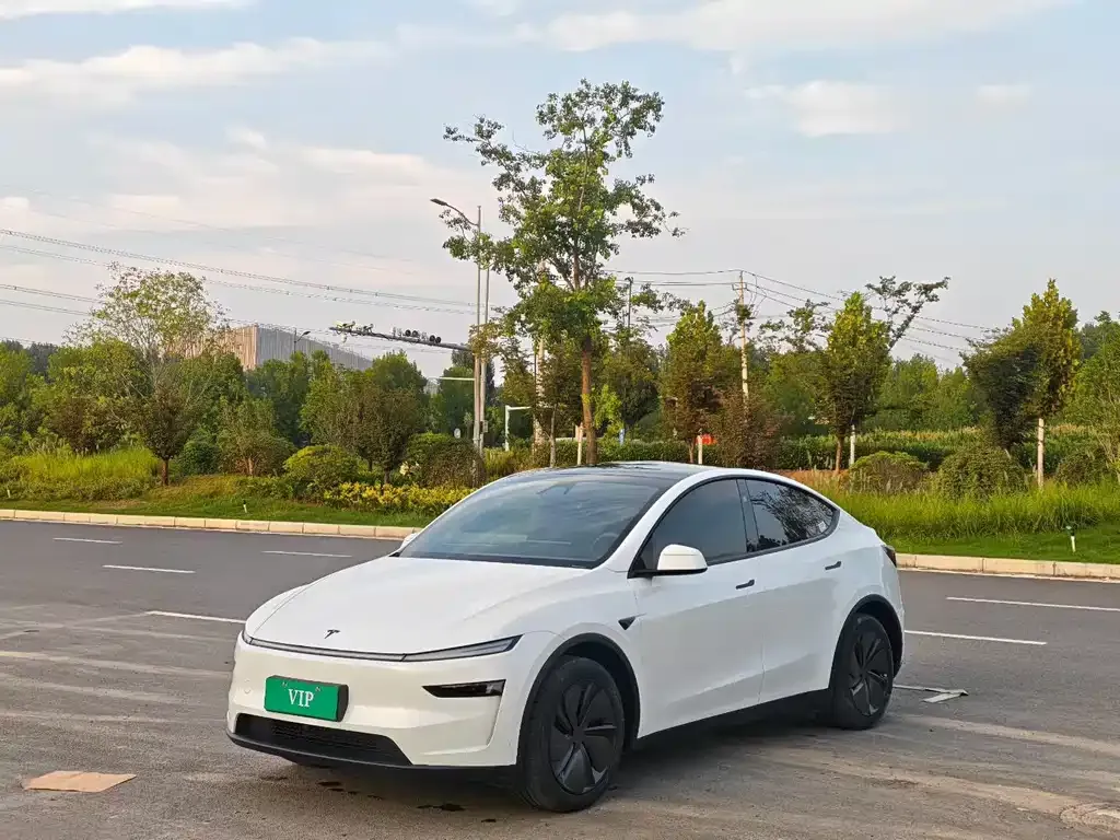 Tesla Model Y — фото 1