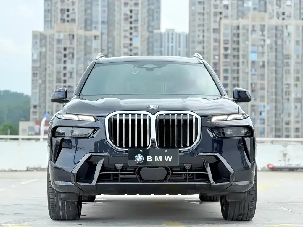 BMW X7 — фото 7