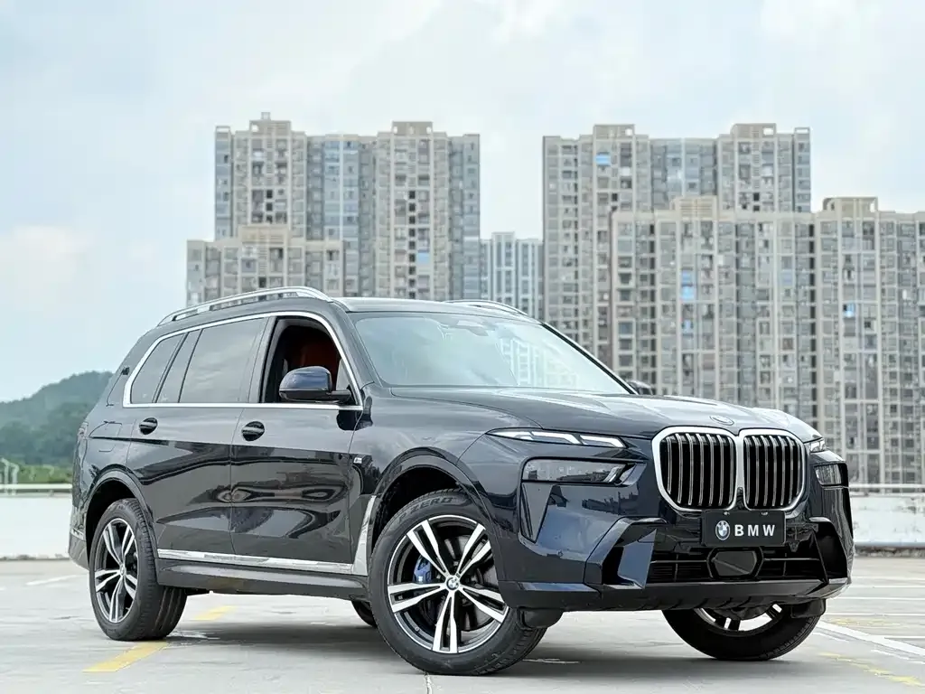 BMW X7 — фото 5