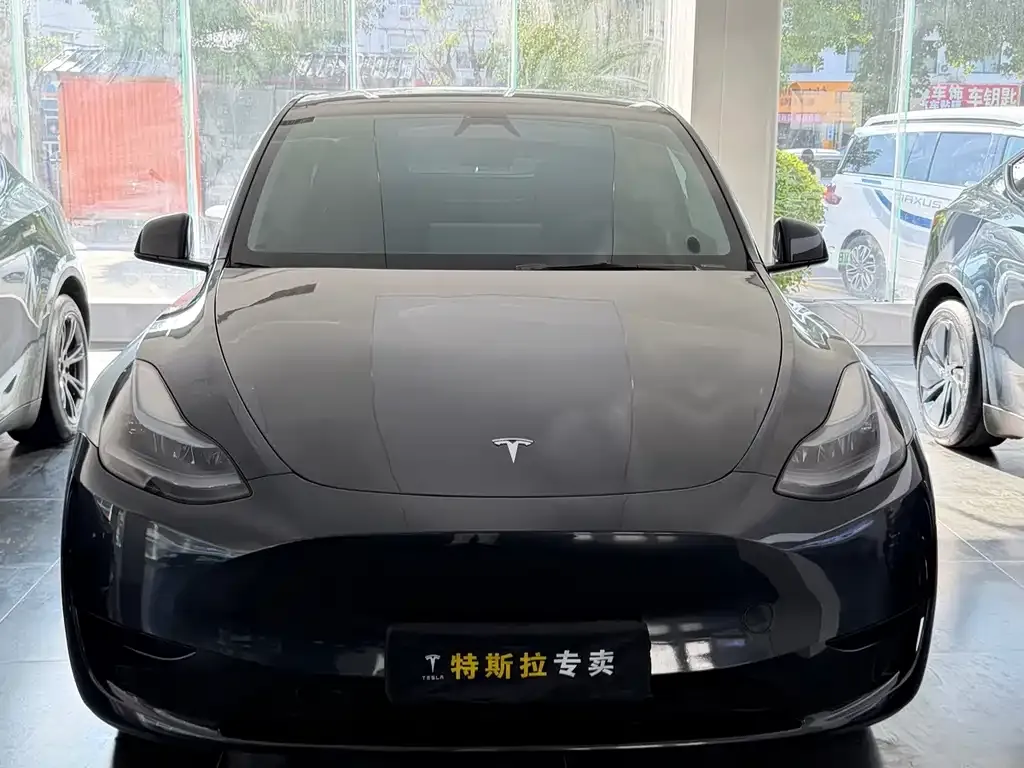 Tesla Model Y — фото 4