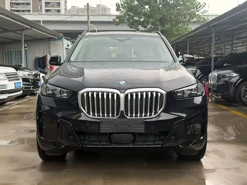 BMW X5 — фото 10