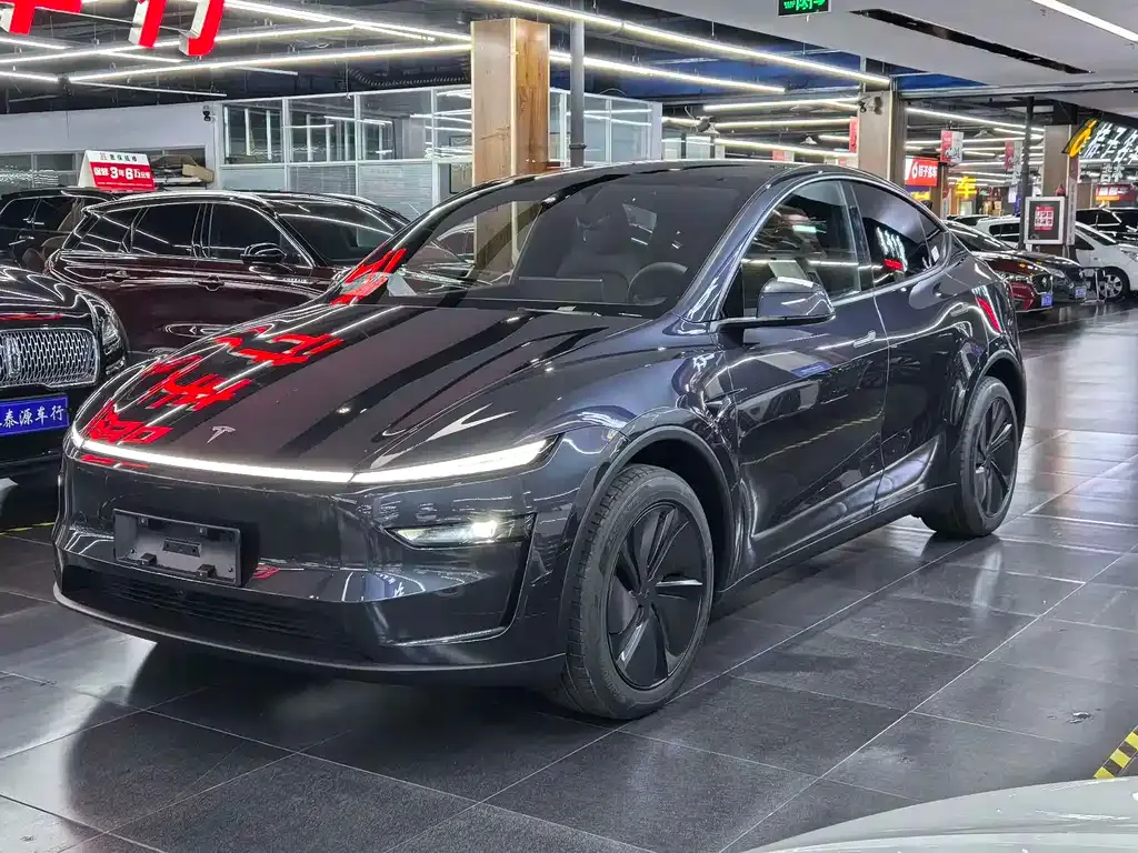 Tesla Model Y — фото 1
