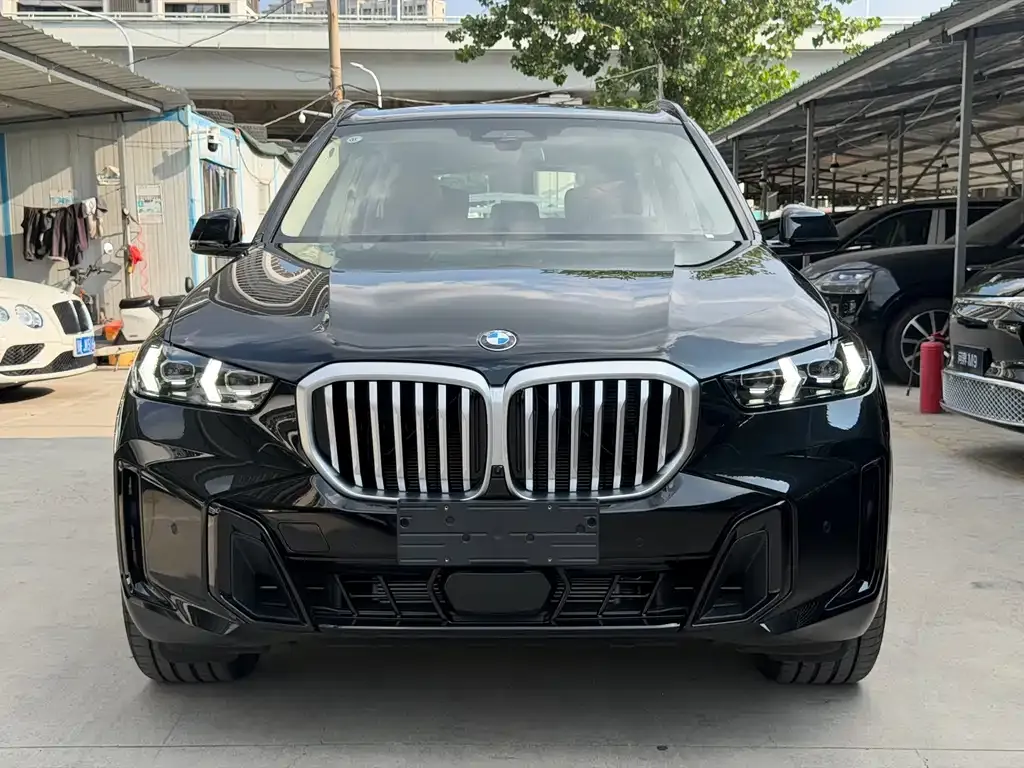 BMW X5 — фото 10