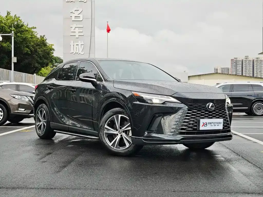 Lexus RX — фото 9