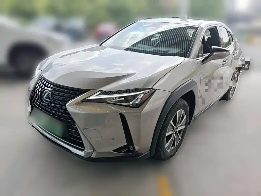 Lexus UX New Energy — фото 10
